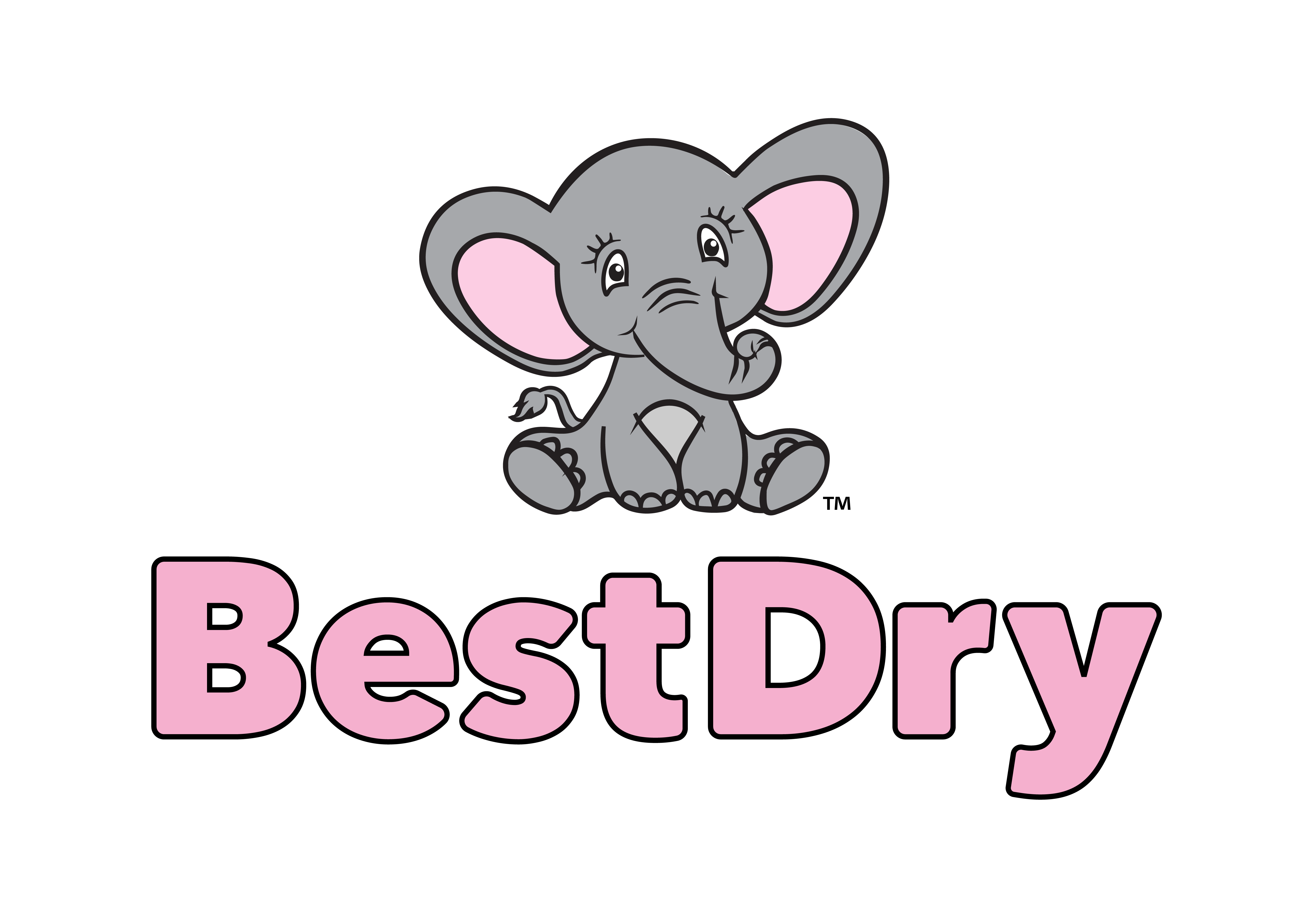 Best Dry logo - Seattle Washington