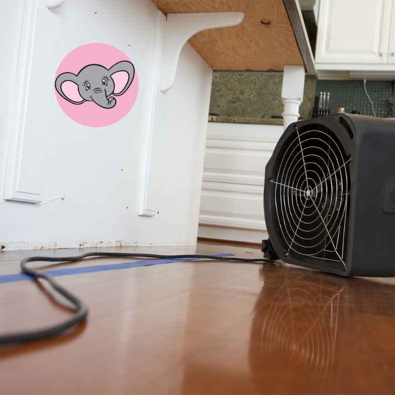 Professional river flood damage restoration services in Washington by BestDry water mitigation experts